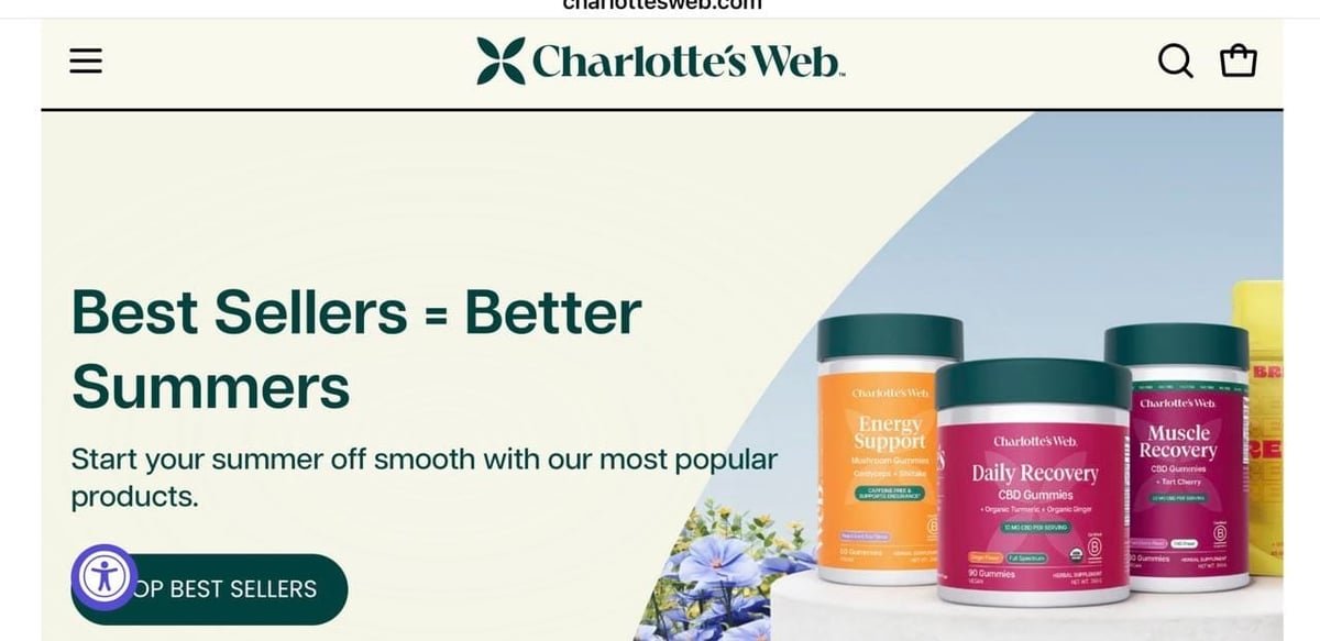 Charlotte's Web website